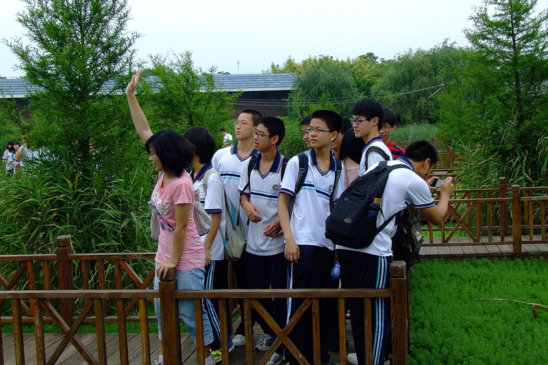 上传的图片