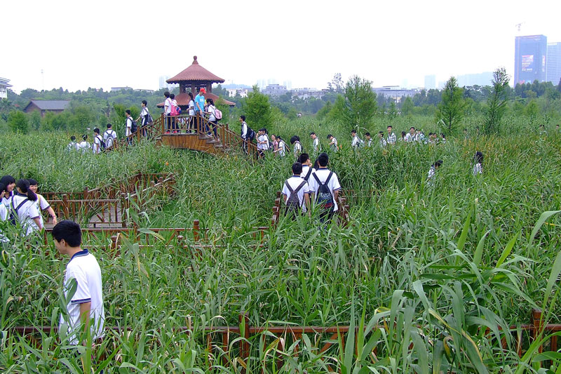 上传的图片