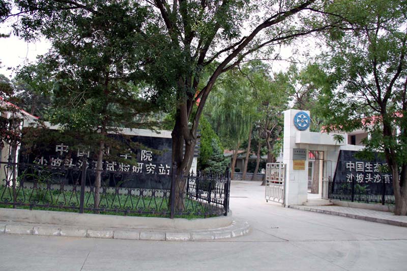 上传的图片