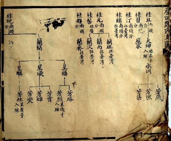 上传的图片