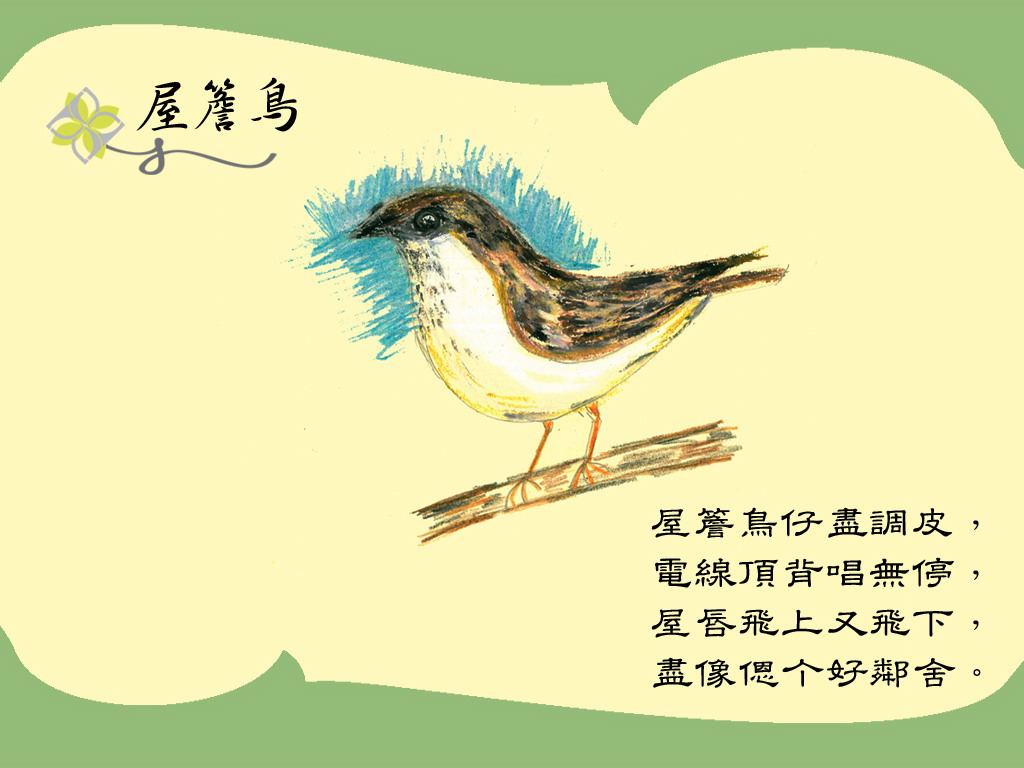 上传的图片