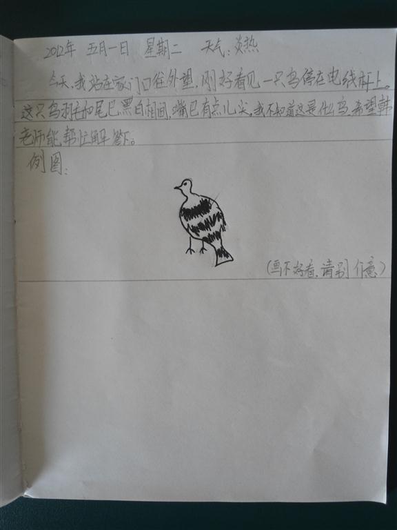 上传的图片