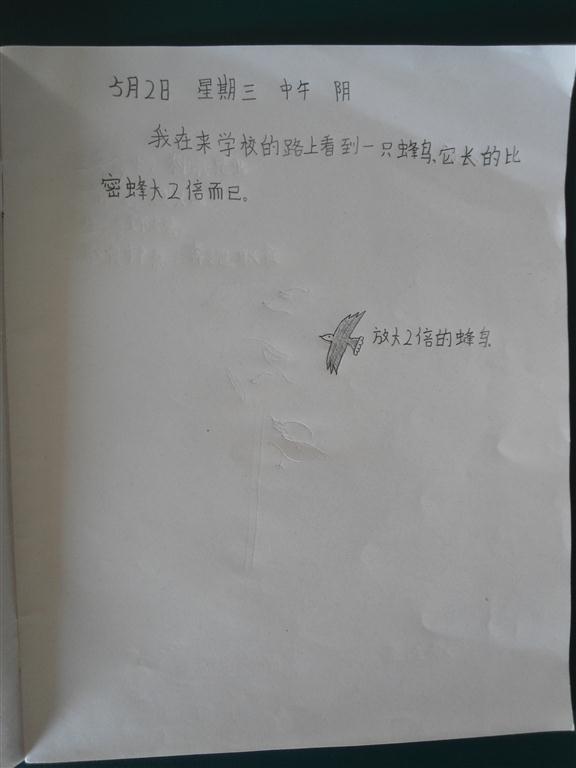 上传的图片