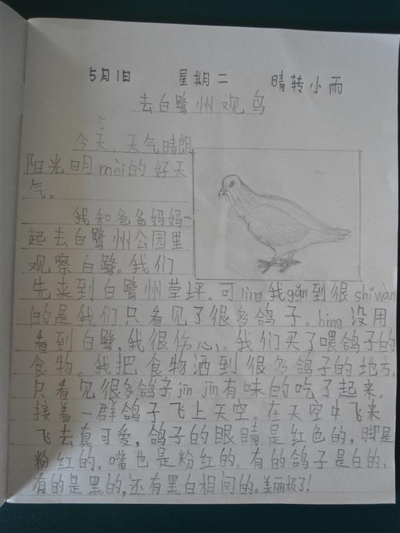 上传的图片