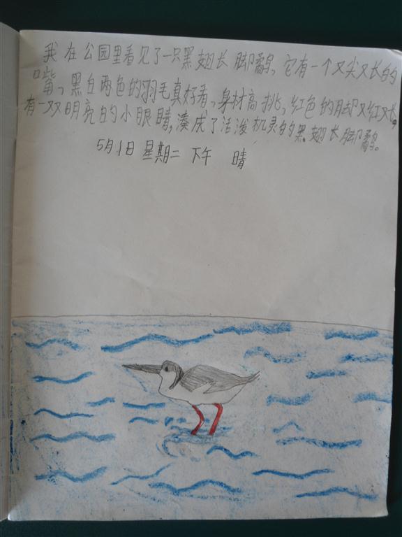 上传的图片