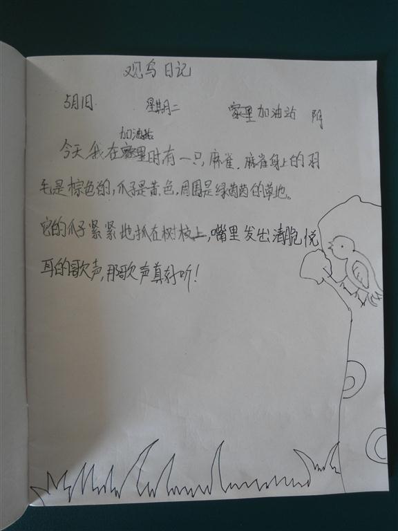 上传的图片