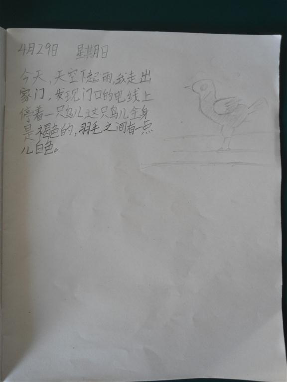 上传的图片