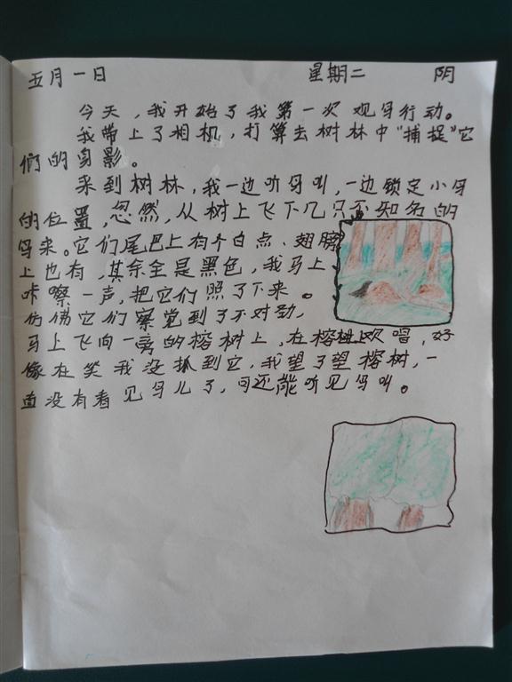 上传的图片