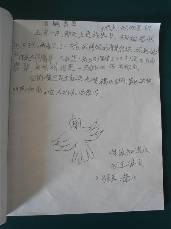 上传的图片