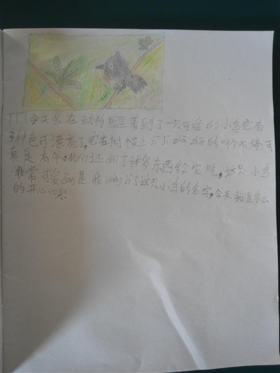 上传的图片
