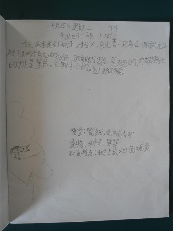 上传的图片