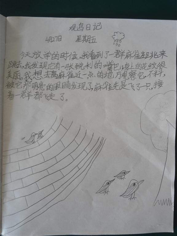 上传的图片