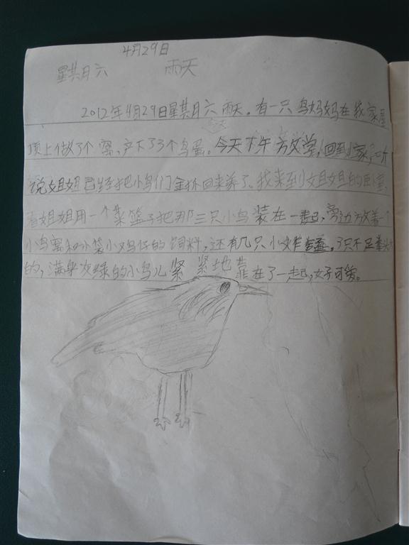 上传的图片