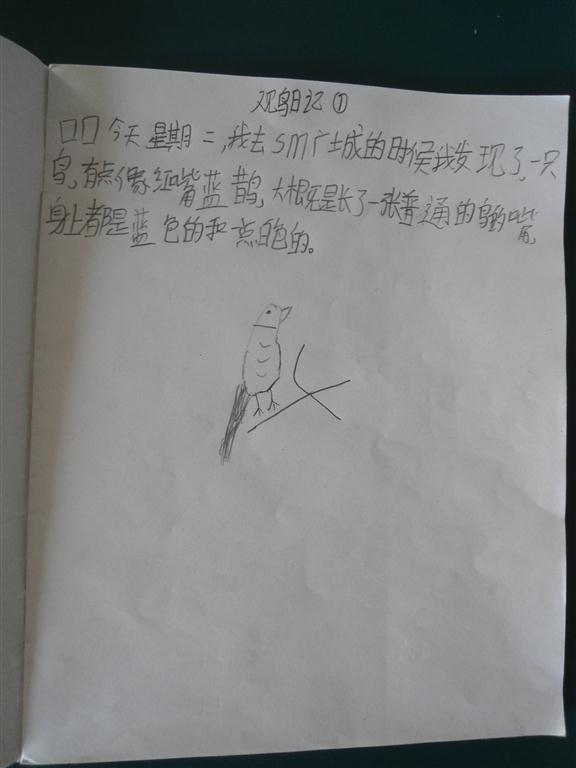 上传的图片