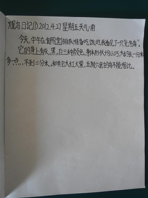上传的图片