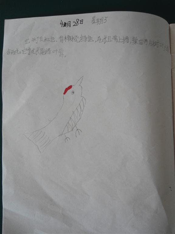 上传的图片
