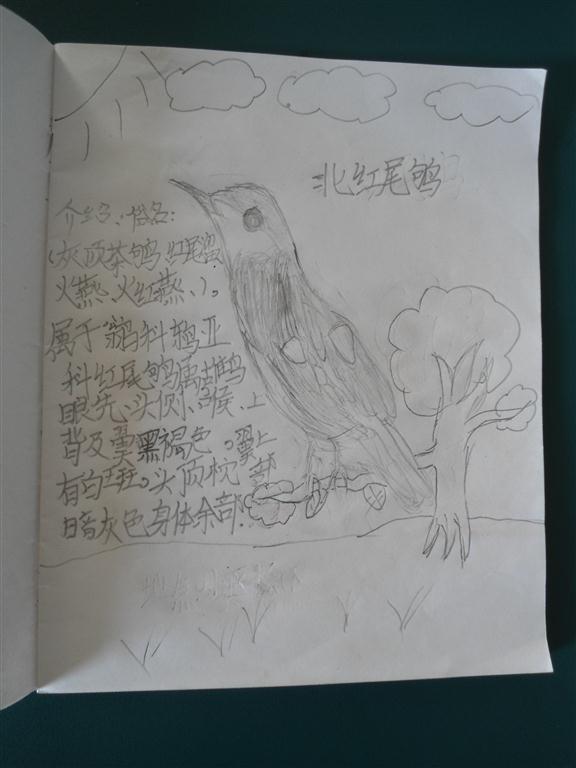 上传的图片