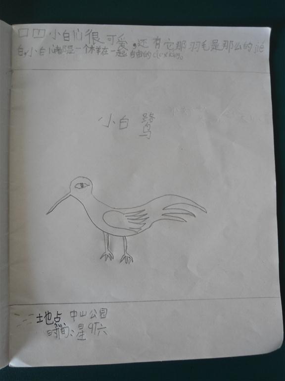 上传的图片
