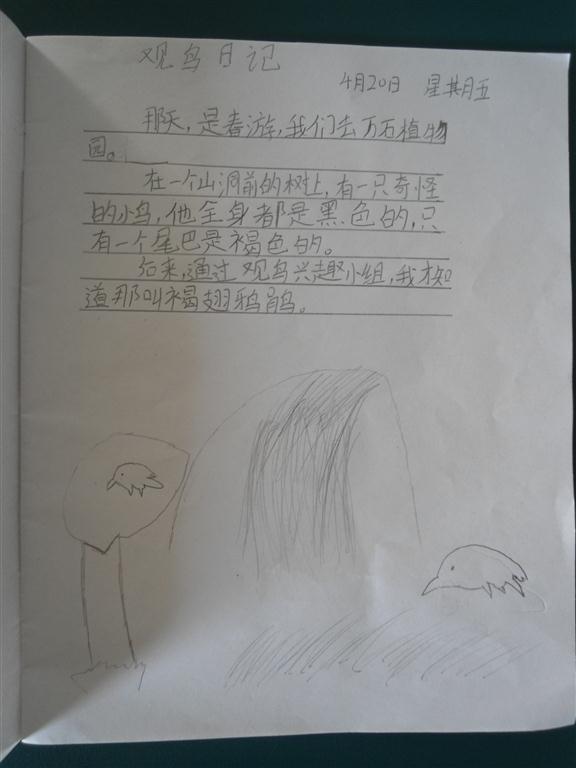 上传的图片