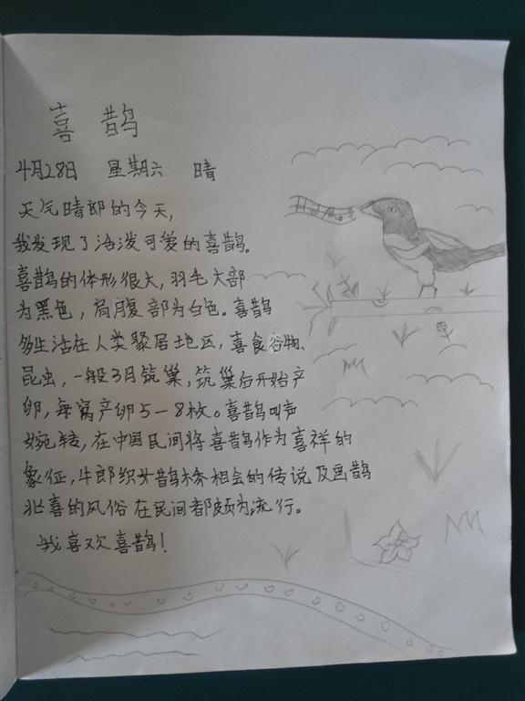 上传的图片