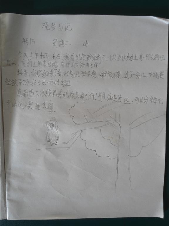 上传的图片