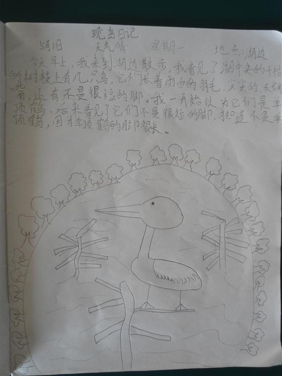 上传的图片