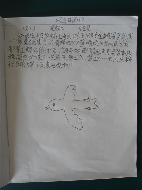 上传的图片