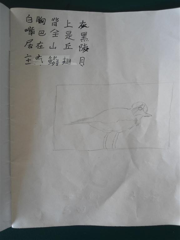 上传的图片