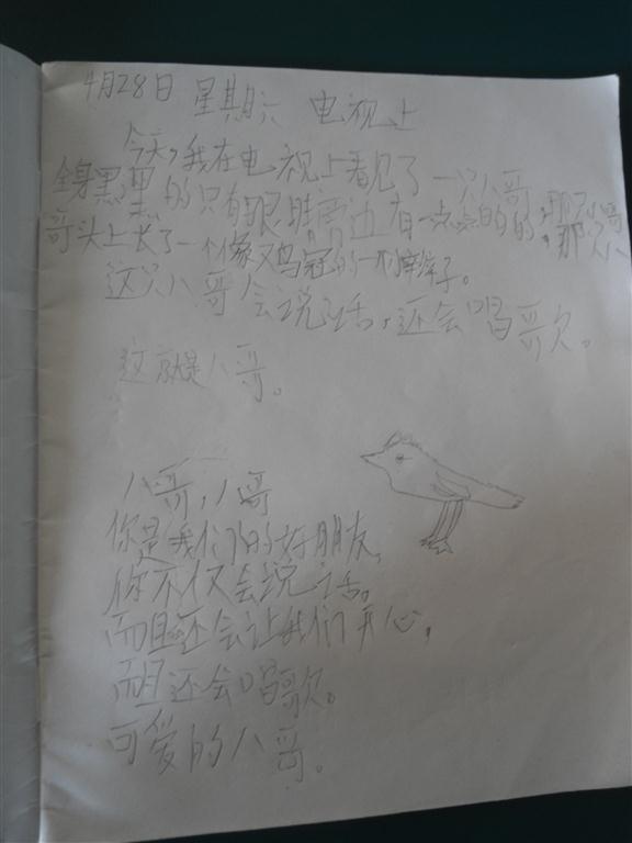 上传的图片
