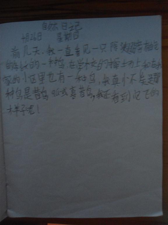 上传的图片
