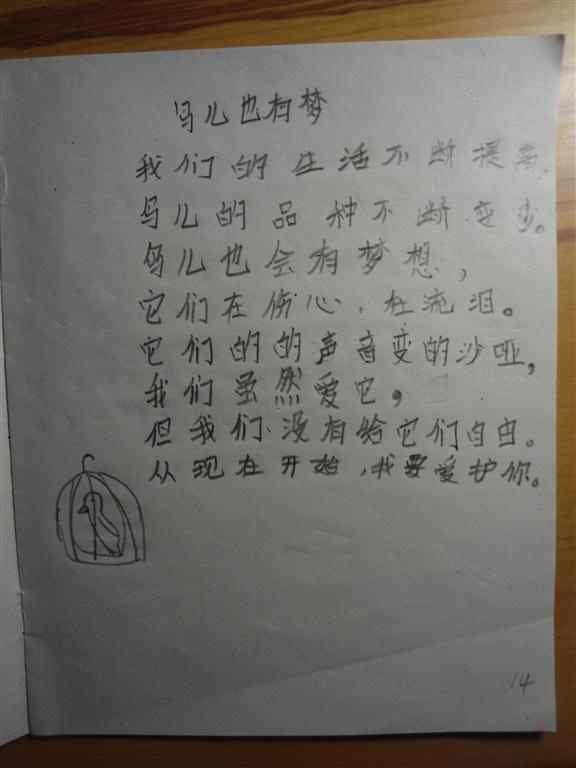 上传的图片
