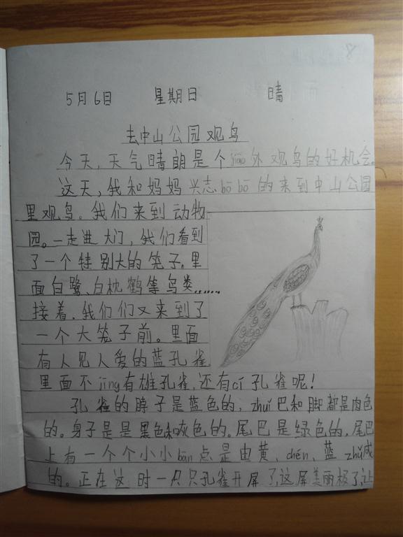 上传的图片