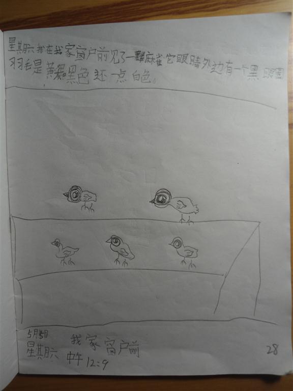 上传的图片