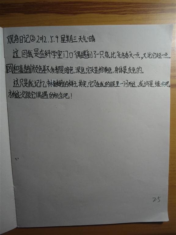 上传的图片