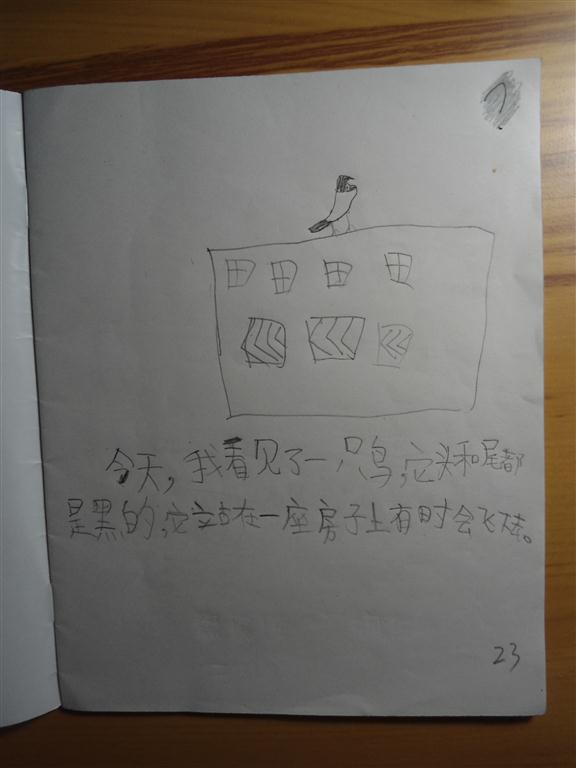 上传的图片