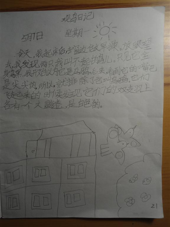 上传的图片