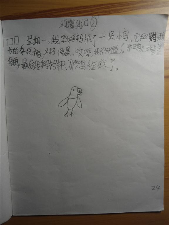 上传的图片