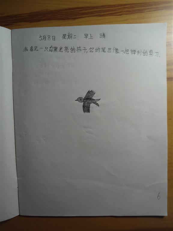 上传的图片