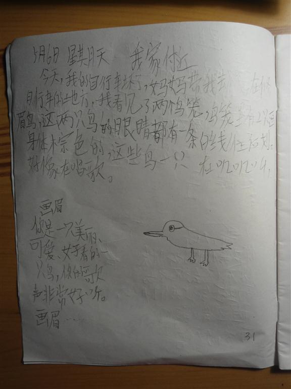 上传的图片