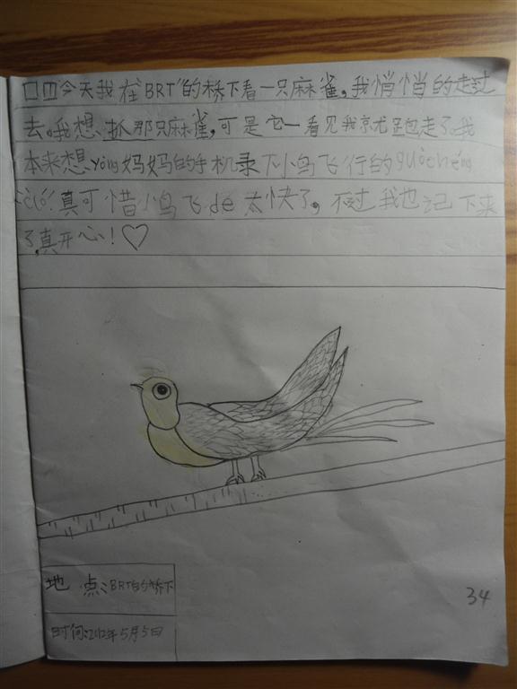 上传的图片