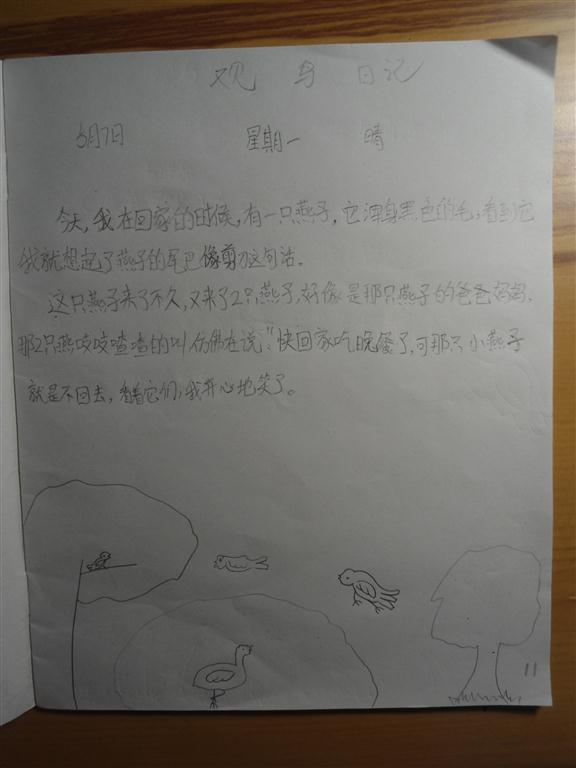 上传的图片