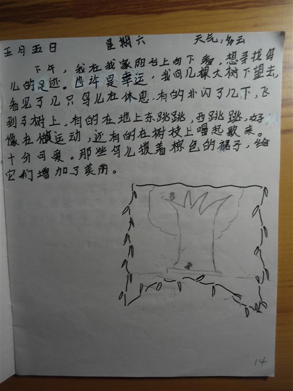 上传的图片