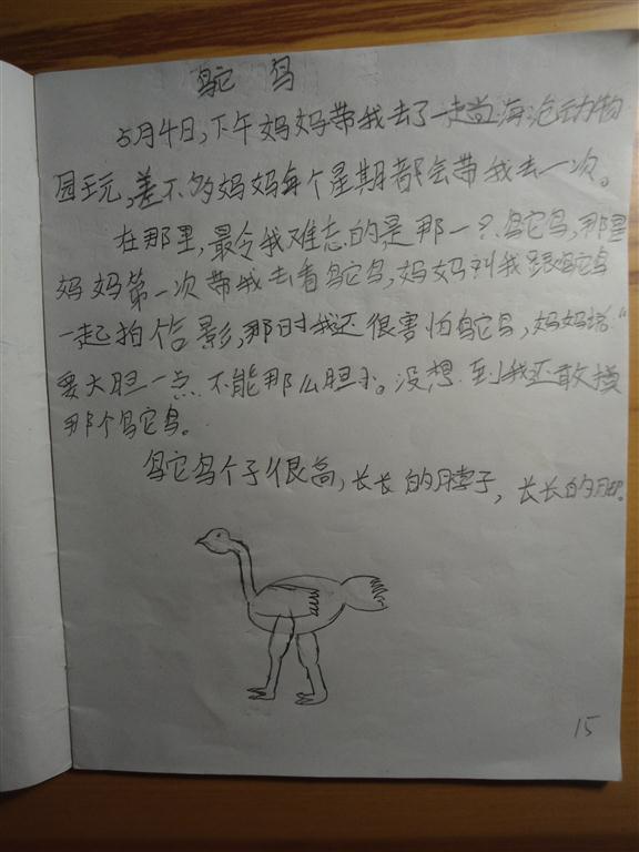 上传的图片