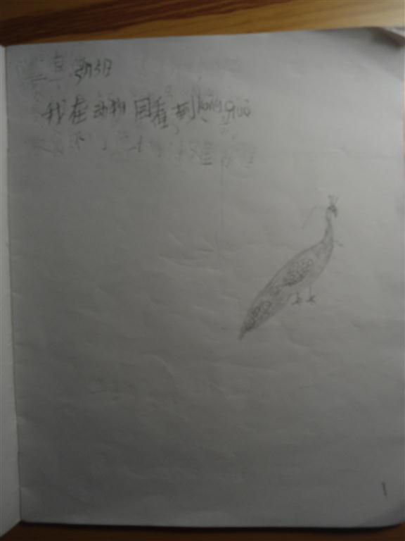 上传的图片