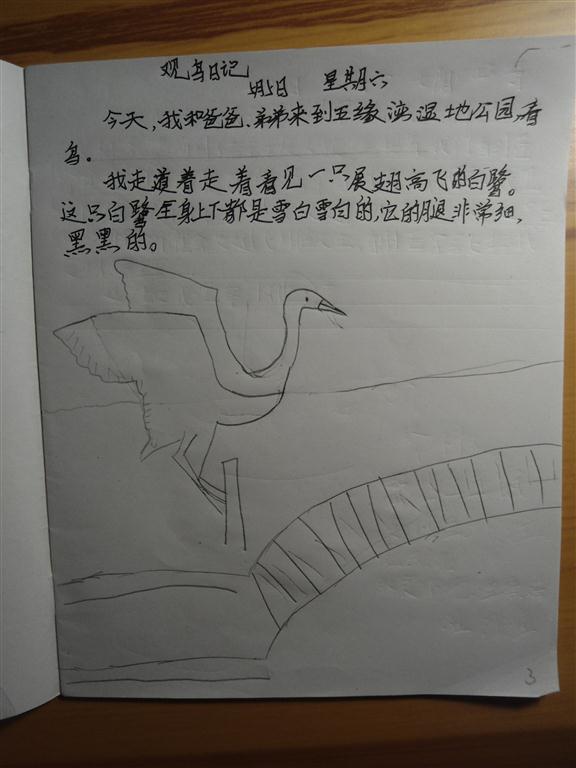 上传的图片