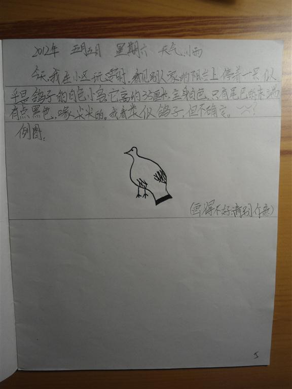 上传的图片