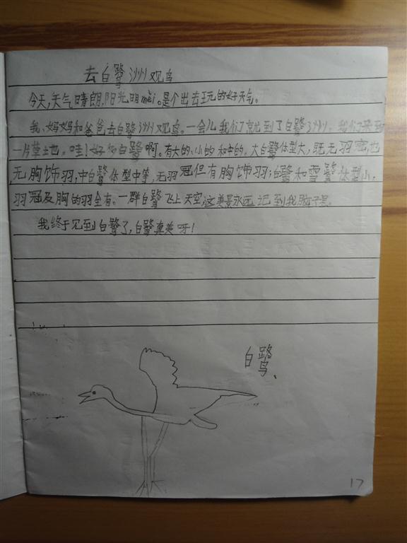 上传的图片