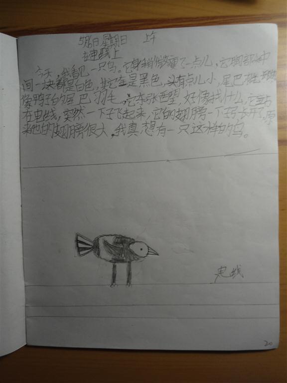 上传的图片