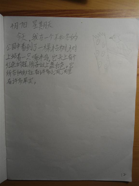 上传的图片
