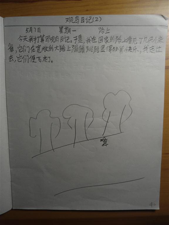 上传的图片